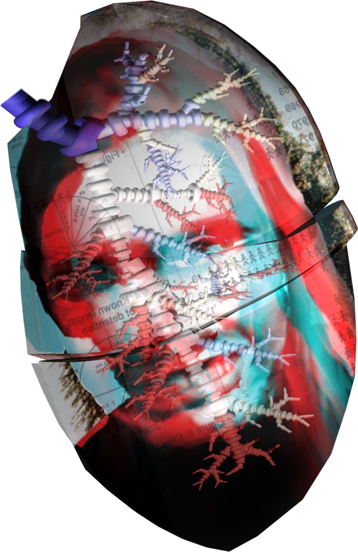 LEFT_LUNG