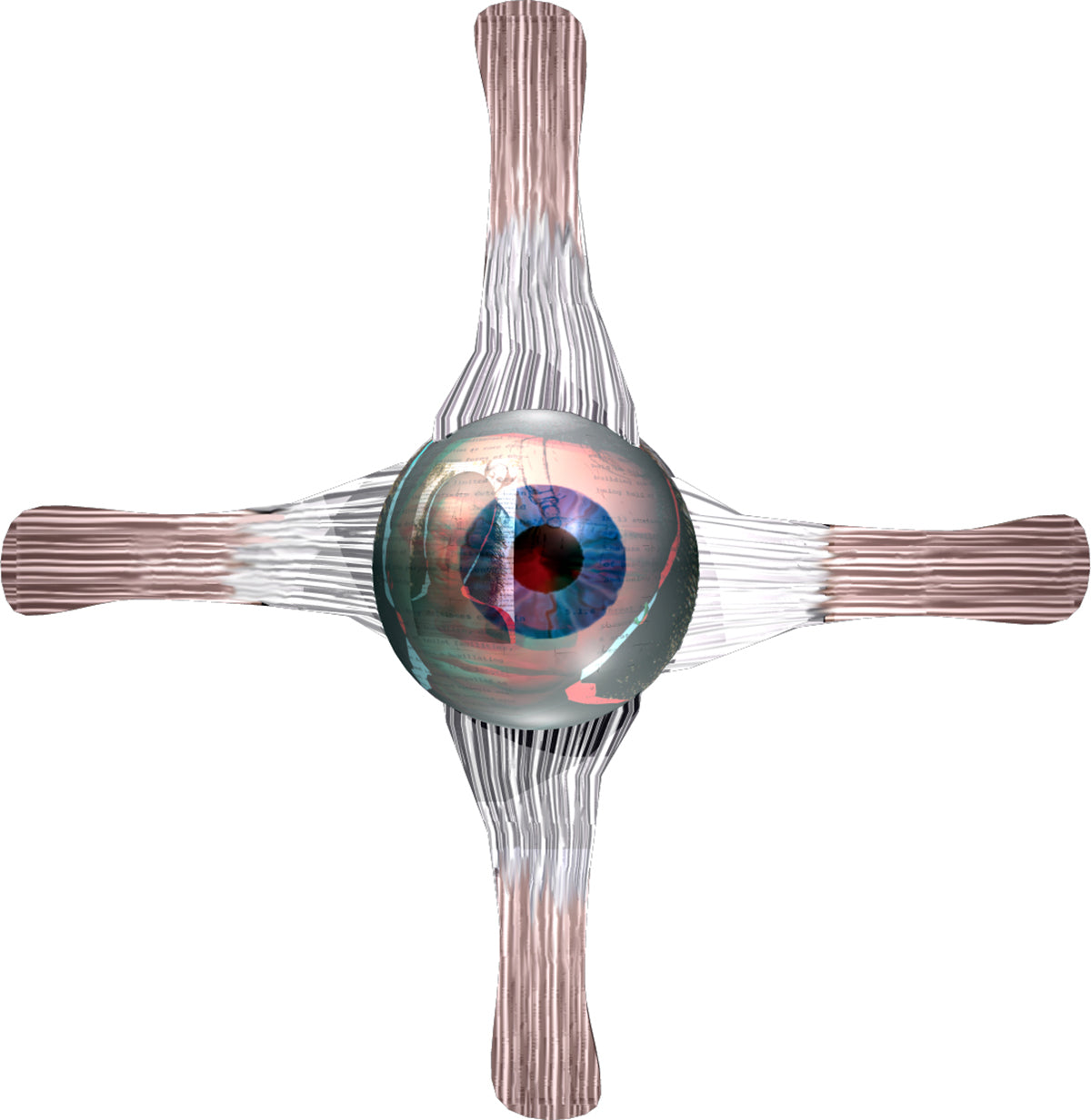 thloloe_eye