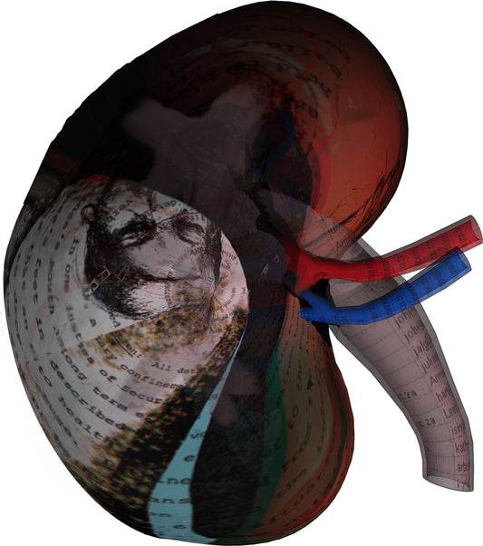 01_Right_Kidney