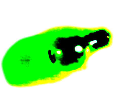 DSC05847