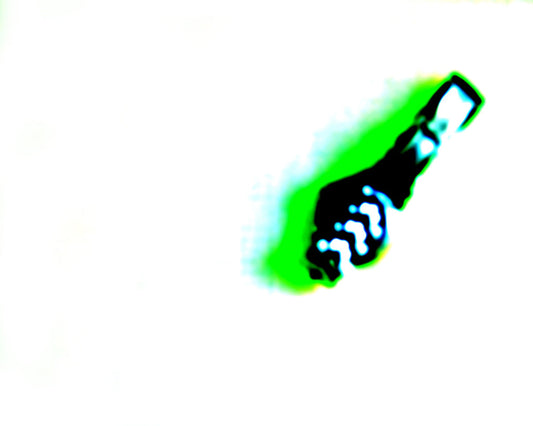 DSC05855