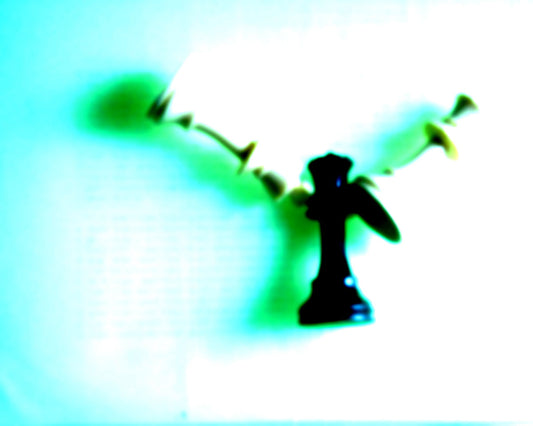 DSC05887