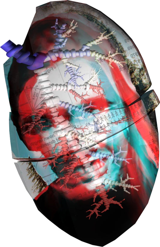 LEFT_LUNG