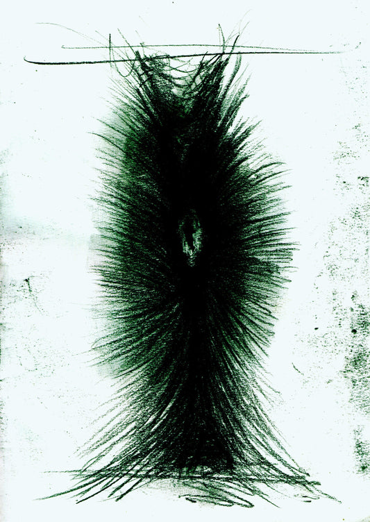 TrandleXV