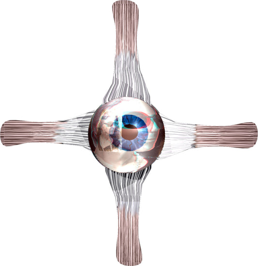 boesak_eye