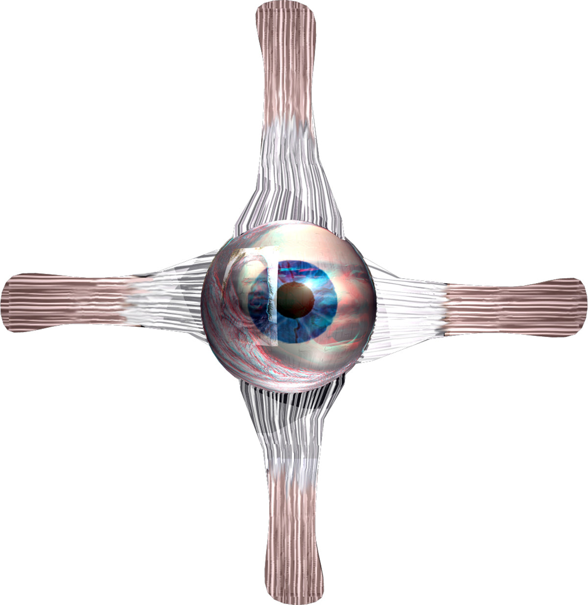 ngoyi_eye