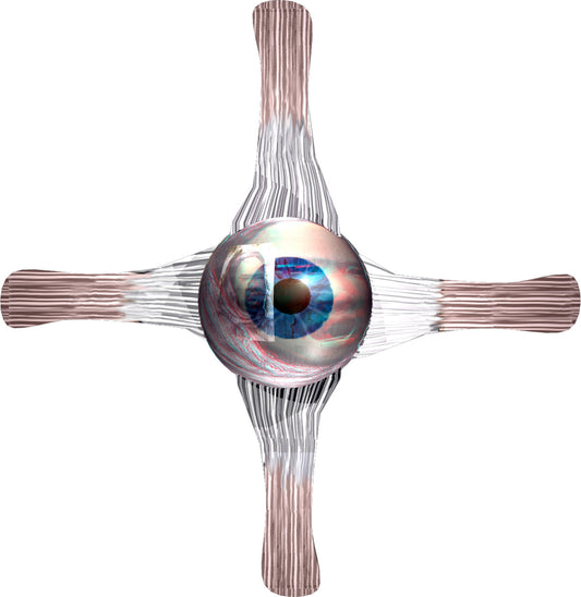 ngoyi_eye