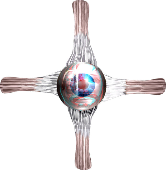 niehuis_eye