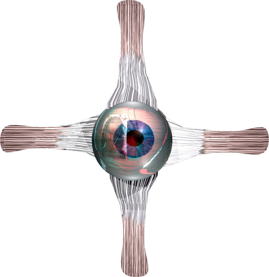 thloloe_eye